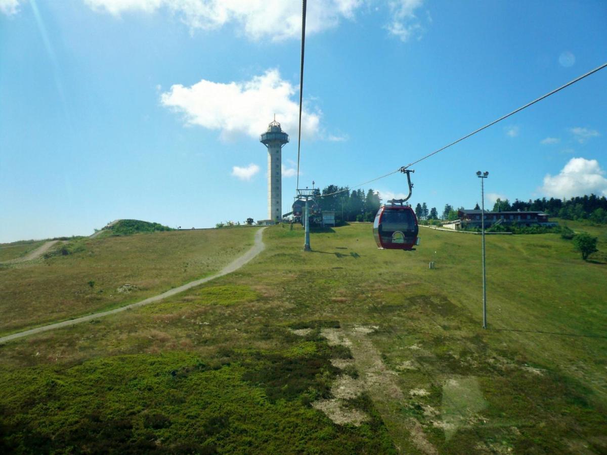 Quartier12 "Ski In & Bike Out" - Fewo Berg Виллинген Экстерьер фото